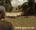 NZ-Mustering.jpg (74Kb)