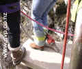 NZ-Bungee.jpg (64Kb)